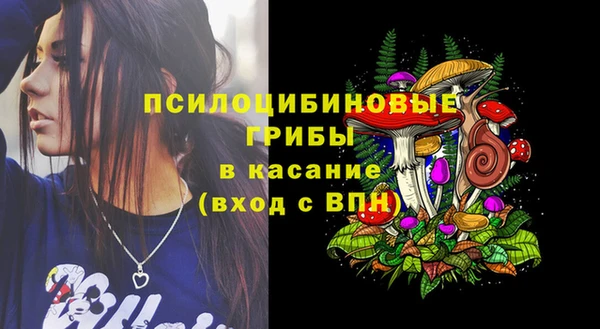стафф Алексеевка