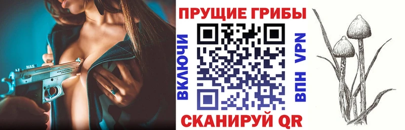 Галлюциногенные грибы мухоморы купить наркотик Коркино
